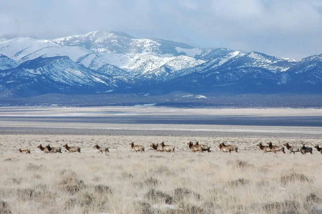 Pony Express Territory : traverser le Nevada avec l'histoire en filigrane