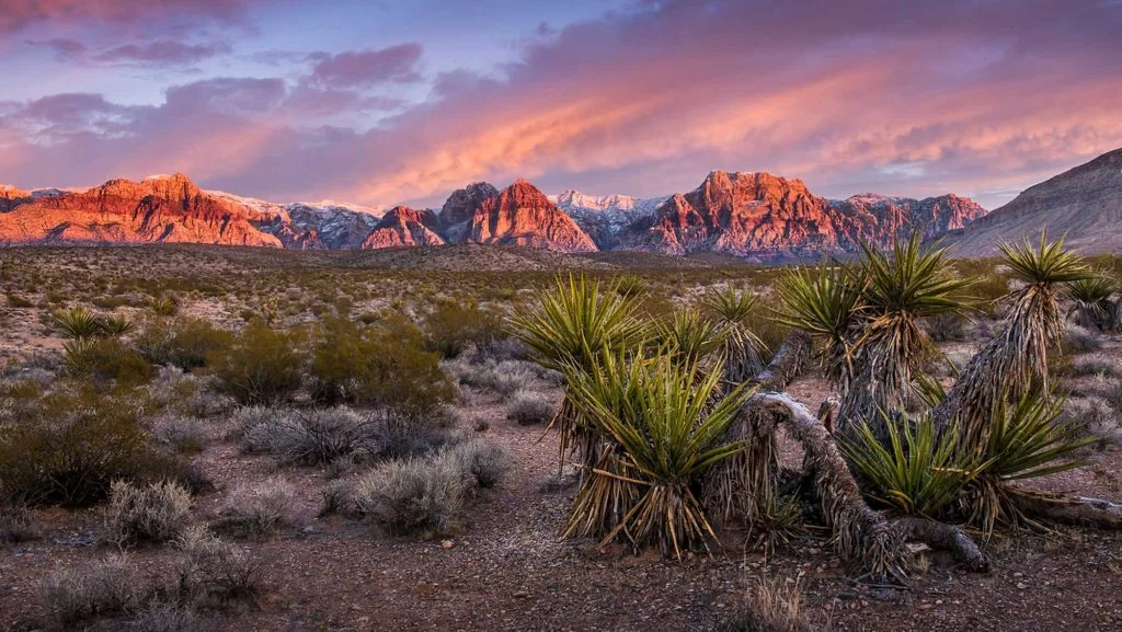 Red Rock Canyon près de Las Vegas : beauté rouge, accès réel et bonnes limites
