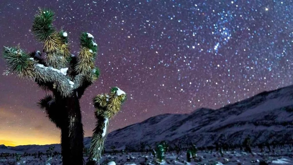 Observer les étoiles dans le désert du Nevada : où regarder et comment se préparer