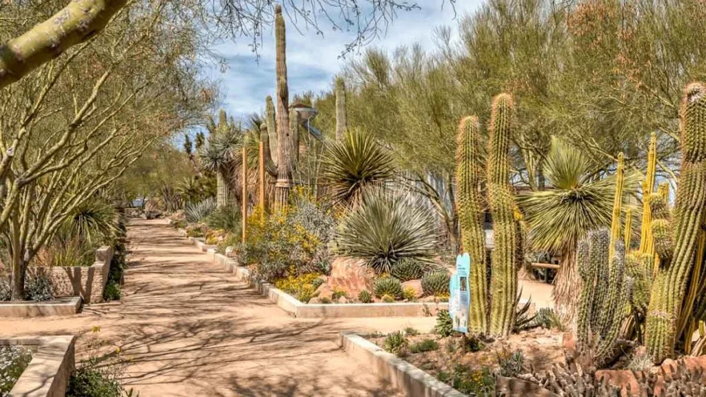 Las Vegas Springs Preserve avec enfants : une pause nature et musée loin du Strip