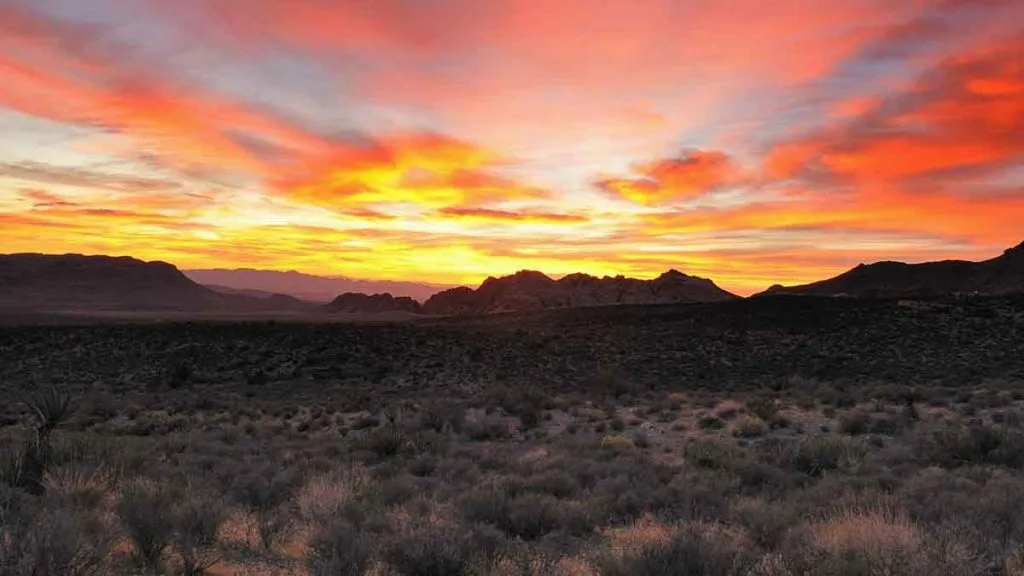 Désert du Nevada la nuit : pourquoi la température chute après le coucher du soleil