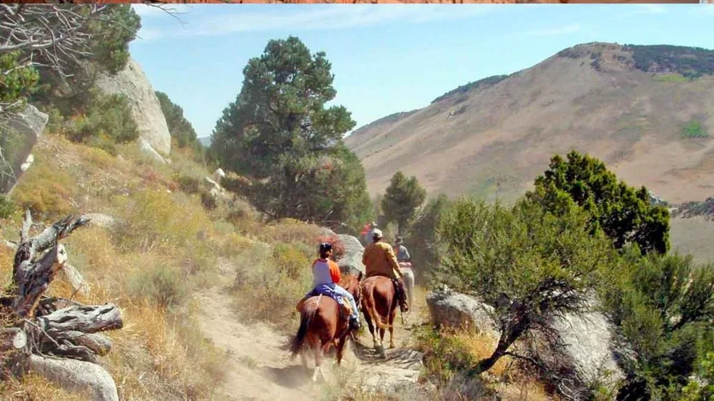 Randonnée à cheval dans le désert du Nevada : où aller et comment choisir